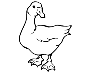 ПК-10 взрослые гуси