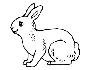 ПК-90 кролики (без травяной муки)
